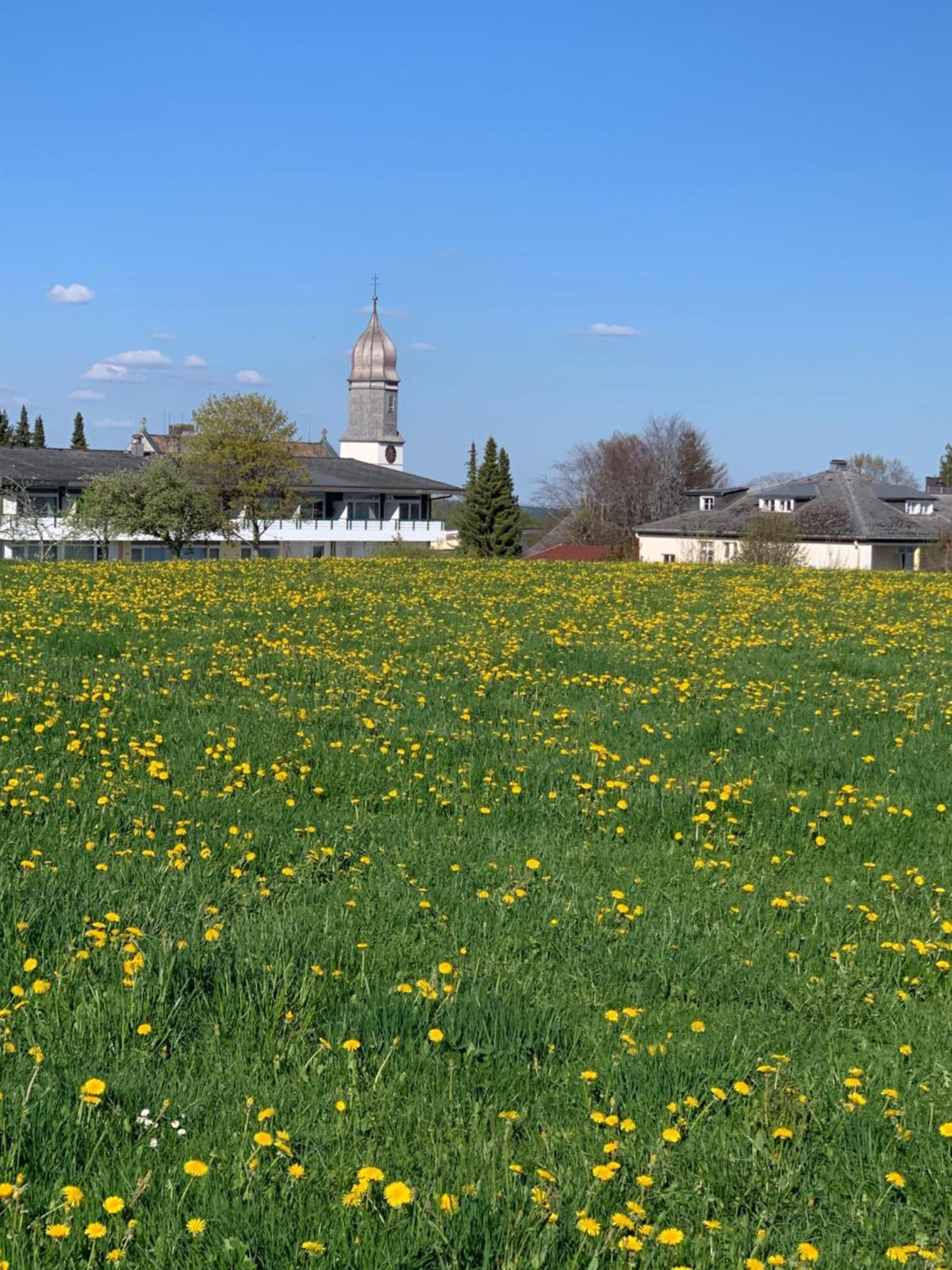 Pension Linde Höchenschwand Dış mekan fotoğraf